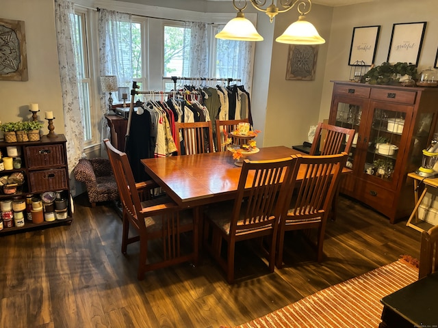 dining area with dark wood-type flooring