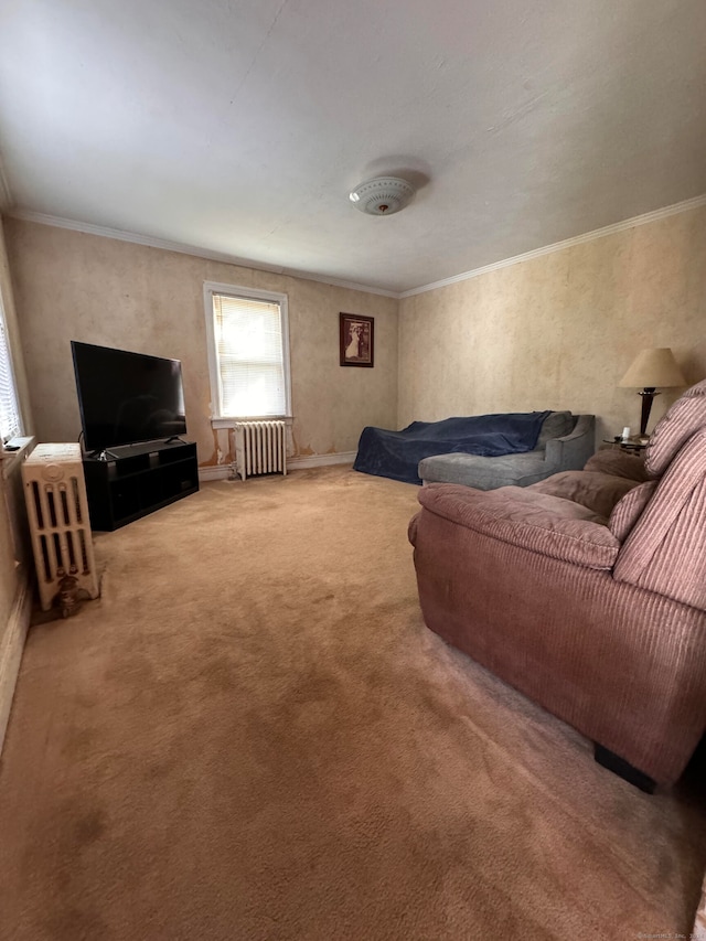 carpeted living room with radiator heating unit and ornamental molding