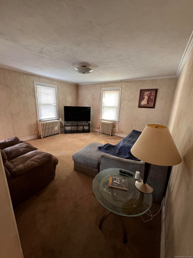 carpeted living room with ornamental molding, radiator, and a textured ceiling