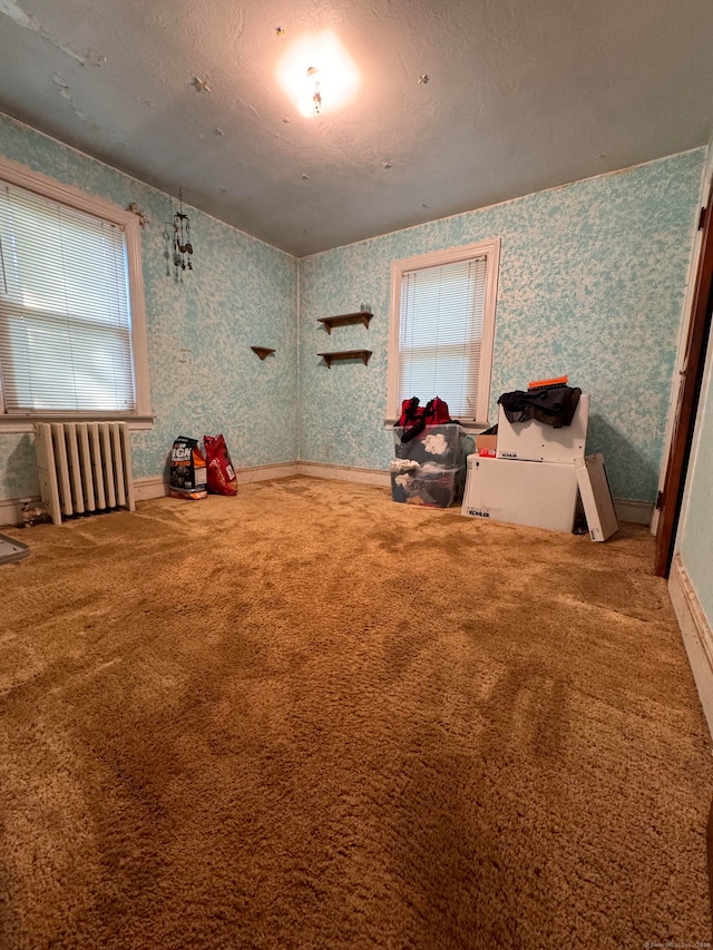 miscellaneous room featuring a textured ceiling, carpet flooring, and radiator heating unit