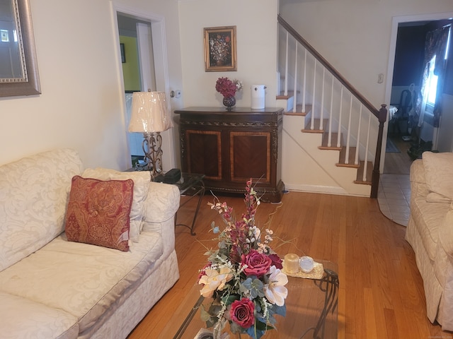 living room with hardwood / wood-style flooring