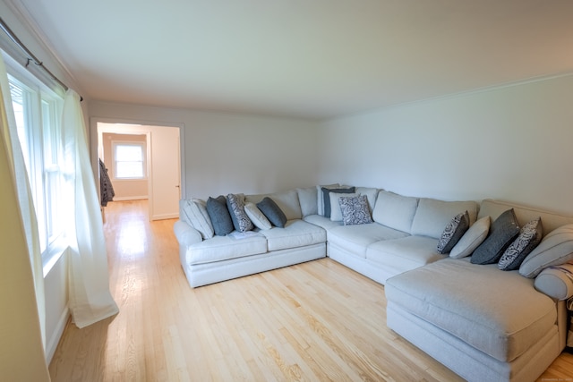 living room with light hardwood / wood-style floors and crown molding