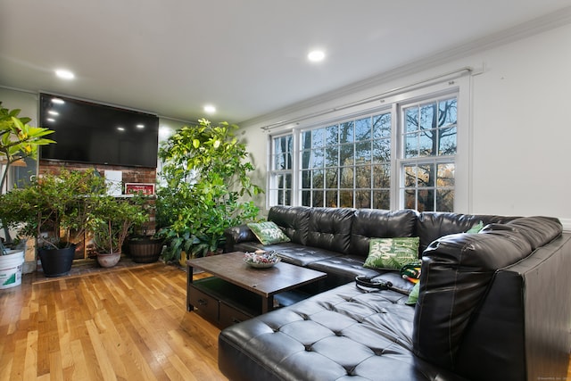 living room featuring ornamental molding and light wood-type flooring