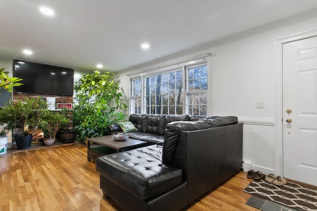 living room with ornamental molding and light wood-type flooring