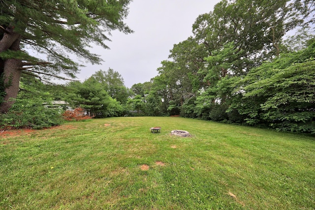 251 Stevens St, Bristol, CT 06010 - view of grassy yard