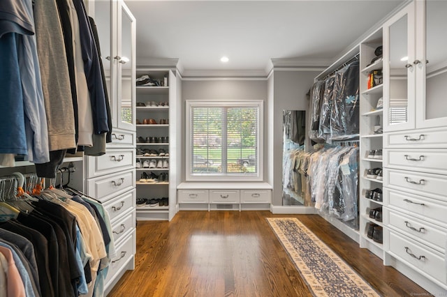 walk in closet featuring dark wood-type flooring