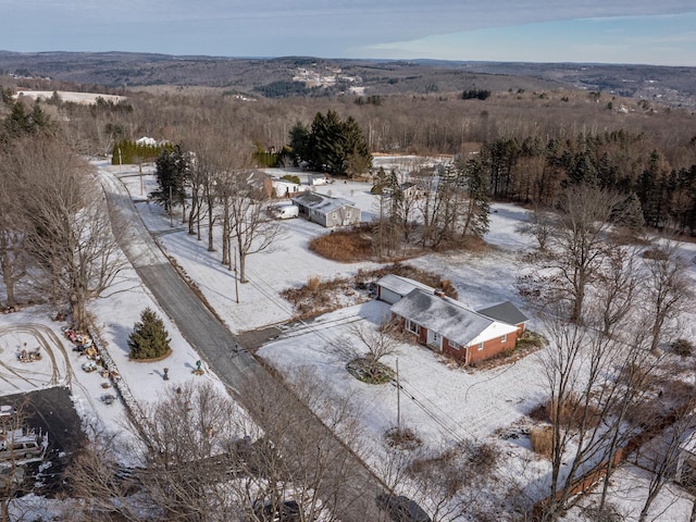 view of snowy aerial view