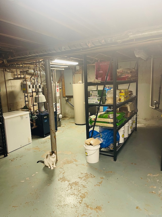 basement featuring gas water heater and electric panel