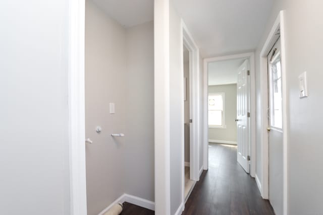 hall with dark hardwood / wood-style flooring