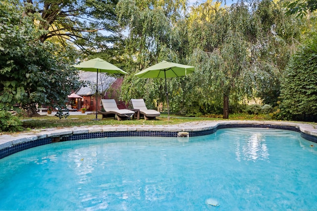 view of pool featuring a patio area