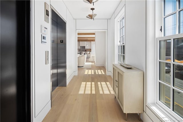 hallway featuring light hardwood / wood-style flooring and elevator