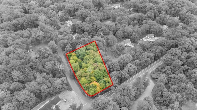 High Ridge Rd, Stamford, CT 06904 - photo 3