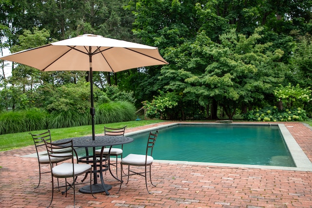 view of pool featuring a patio