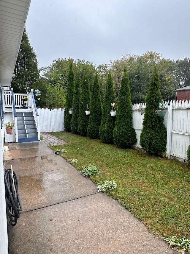 view of yard with a patio