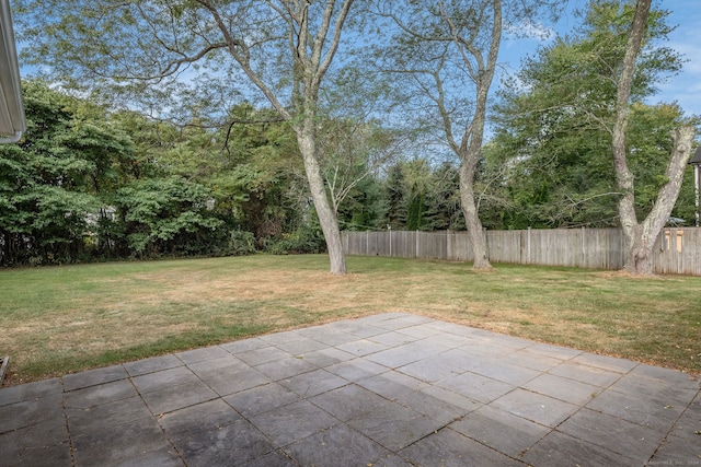 view of yard with a patio