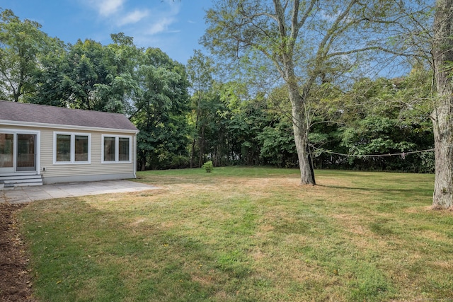 view of yard featuring a patio area