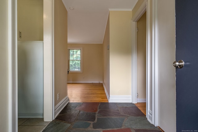 hallway with lofted ceiling and dark wood-type flooring