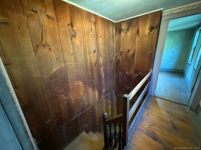 staircase with wood-type flooring and wood walls