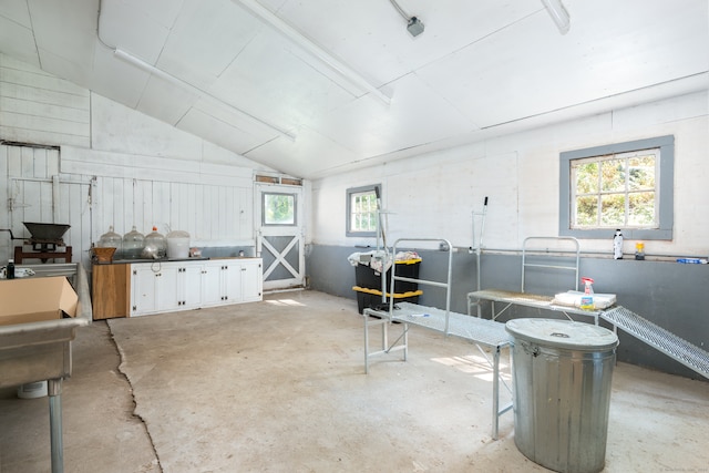 miscellaneous room with lofted ceiling and plenty of natural light