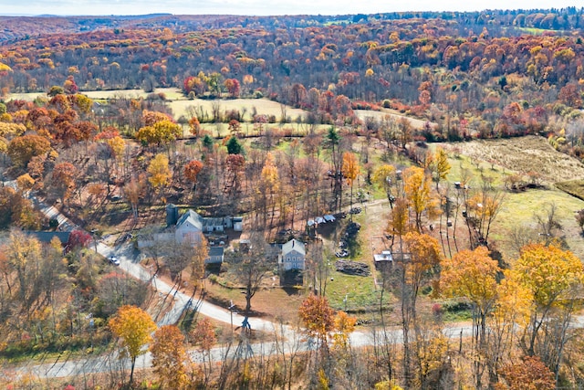 aerial view