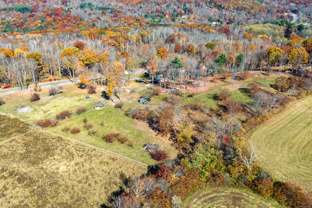 bird's eye view with a rural view