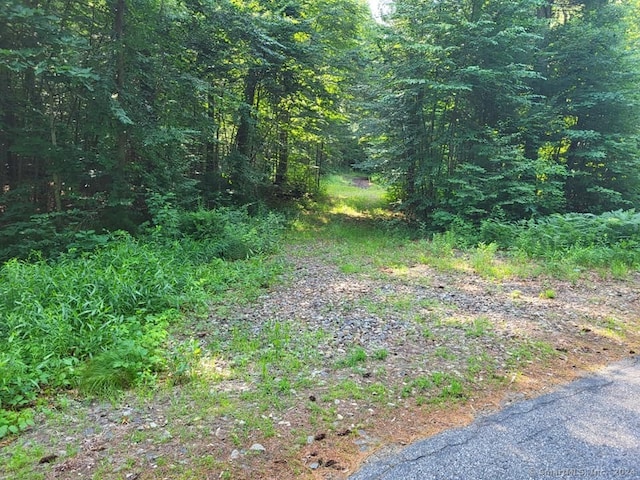 000 River Rd, Willington, CT 06279