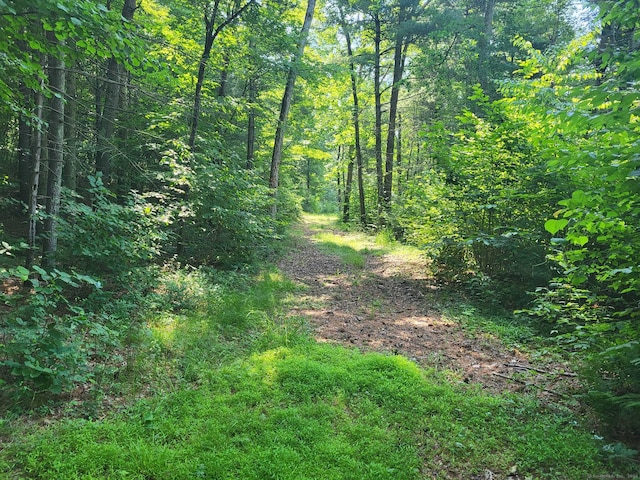 000 River Rd, Willington, CT 06279