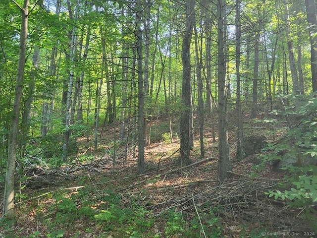 000 River Rd, Willington, CT 06279