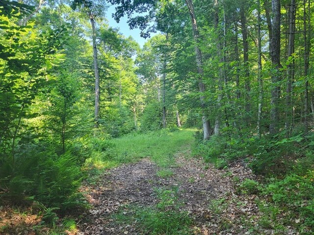 000 River Rd, Willington, CT 06279