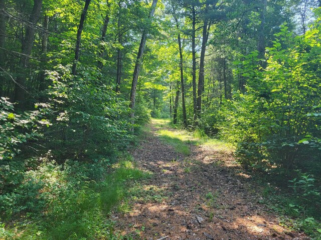 000 River Rd, Willington, CT 06279