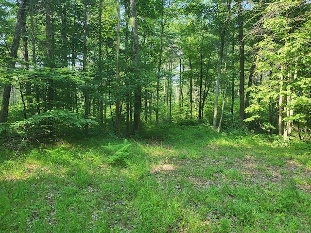 000 River Rd, Willington, CT 06279