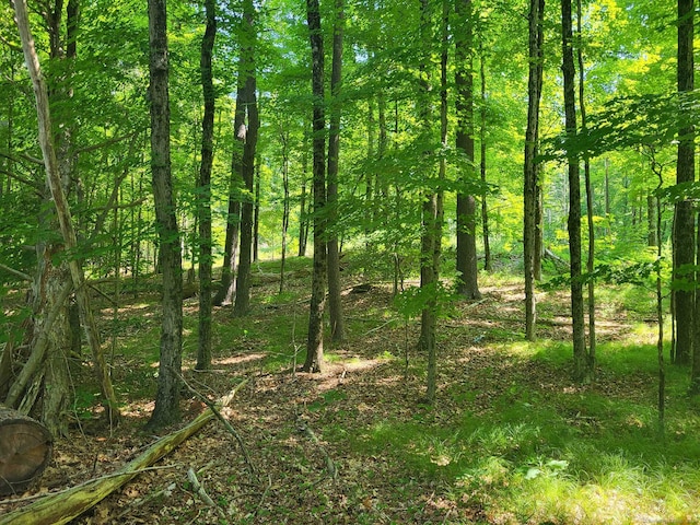 000 River Rd, Willington, CT 06279