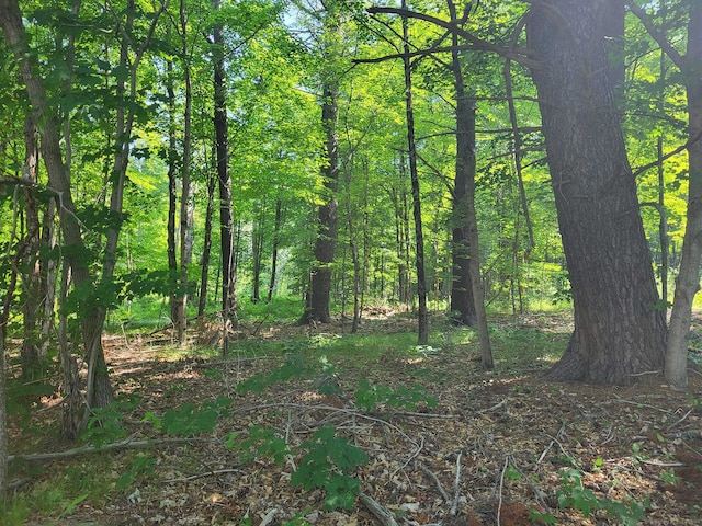 000 River Rd, Willington, CT 06279