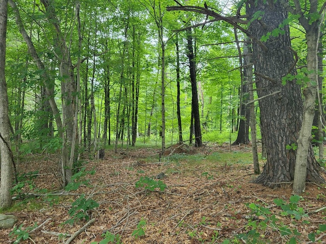000 River Rd, Willington, CT 06279