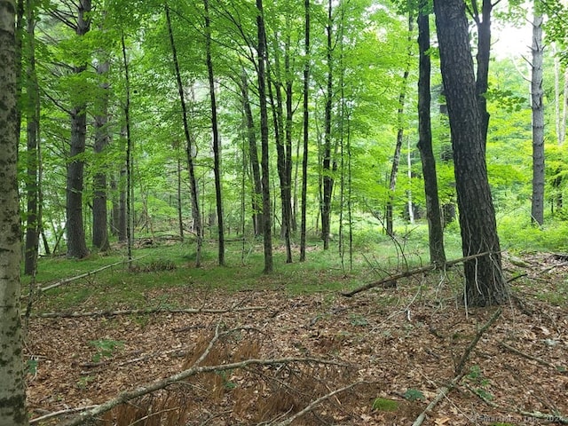 000 River Rd, Willington, CT 06279