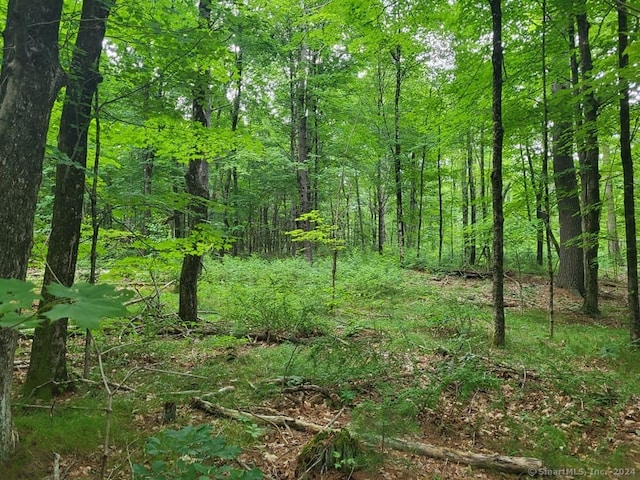 000 River Rd, Willington, CT 06279