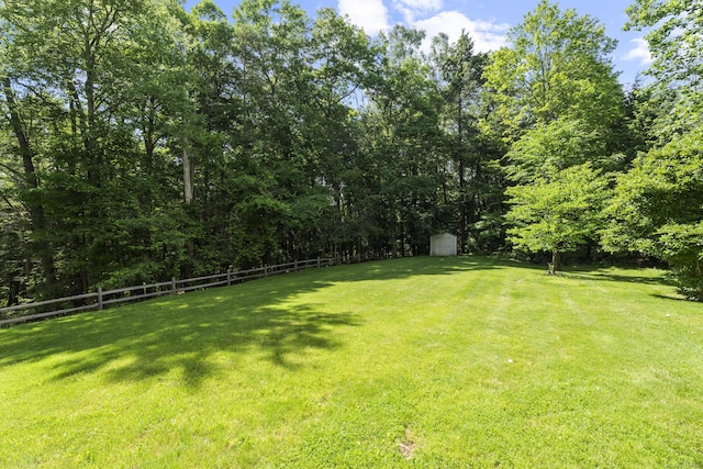 view of yard featuring a storage unit