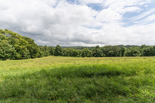 view of local wilderness featuring a rural view