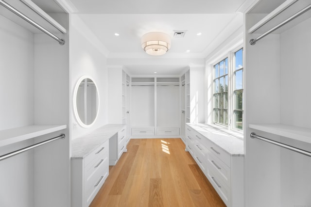 spacious closet with light wood-type flooring