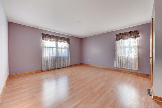 empty room featuring light wood-type flooring and plenty of natural light