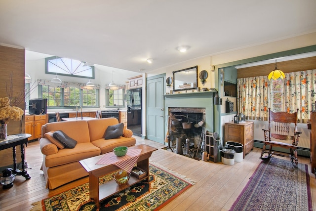 living room with a skylight, a baseboard radiator, and light hardwood / wood-style floors