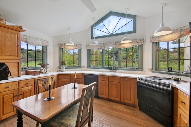 kitchen featuring light hardwood / wood-style flooring, plenty of natural light, sink, and black appliances