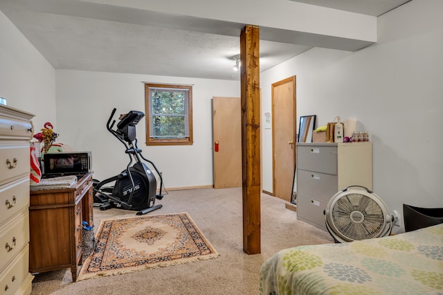 bedroom with light colored carpet