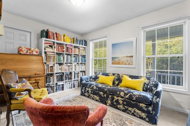 sitting room with carpet