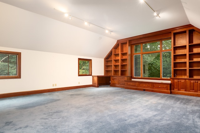 bonus room featuring carpet floors and lofted ceiling