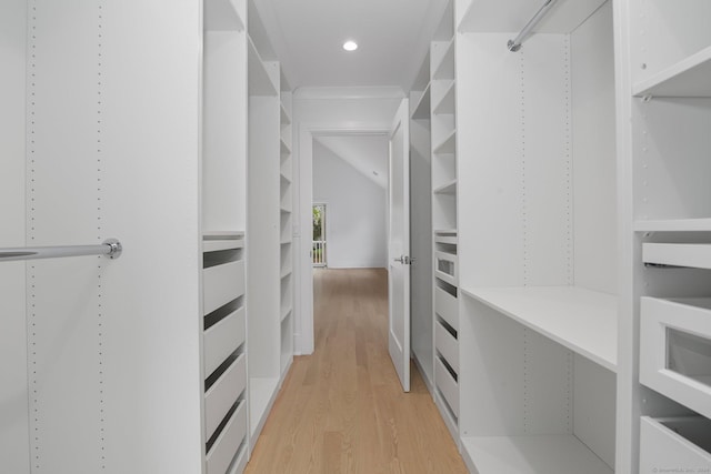 spacious closet with light hardwood / wood-style floors