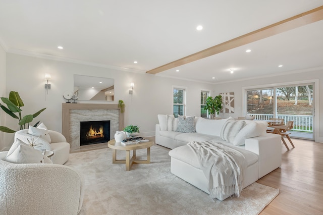 living room featuring plenty of natural light, light hardwood / wood-style floors, crown molding, and a high end fireplace