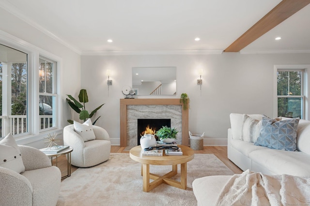 living room featuring light hardwood / wood-style floors, ornamental molding, and a premium fireplace