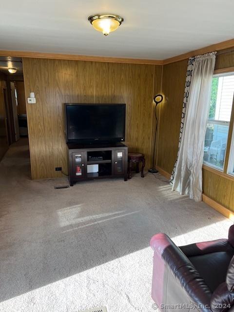 living room featuring wood walls and carpet floors