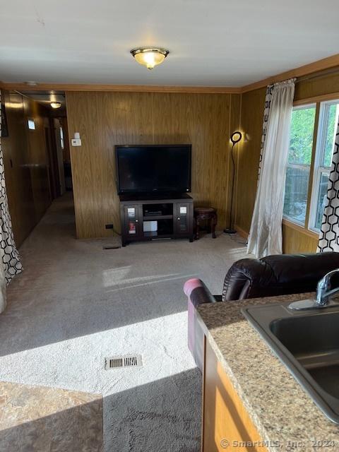 living room featuring wood walls, sink, and carpet